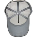 kapa-zaobljena-siva-snapback-eye-of-the-tiger-the-farm-goorin-bros