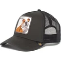 kape-zaobljena-crna-snapback-perro-bulldog-butch-the-farm-de-goorin-bros