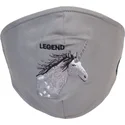 maske-i-zastita-siva-mascarilla-reutilizable-living-legend-the-farm-goorin-bros