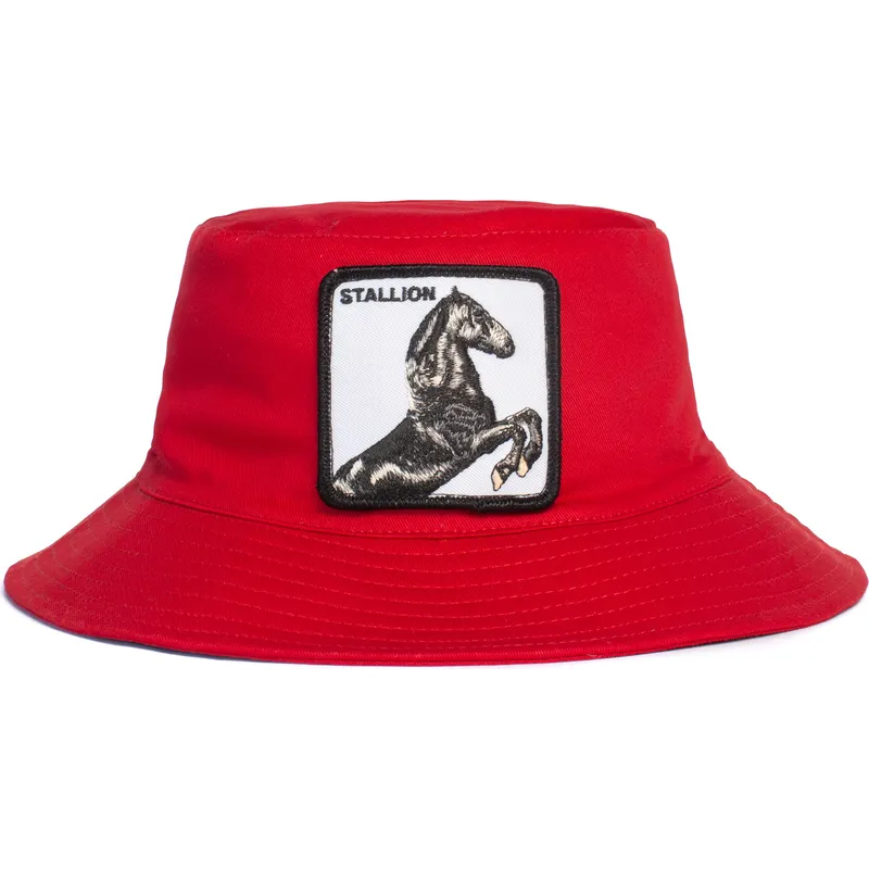 kante-crvena-stallion-im-a-little-hoarse-the-farm-goorin-bros