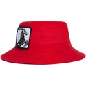 kante-crvena-stallion-im-a-little-hoarse-the-farm-goorin-bros