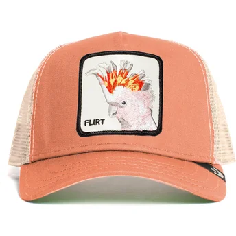 kapa-zaobljena-ruzicasta-snapback-big-flirt-the-farm-goorin-bros