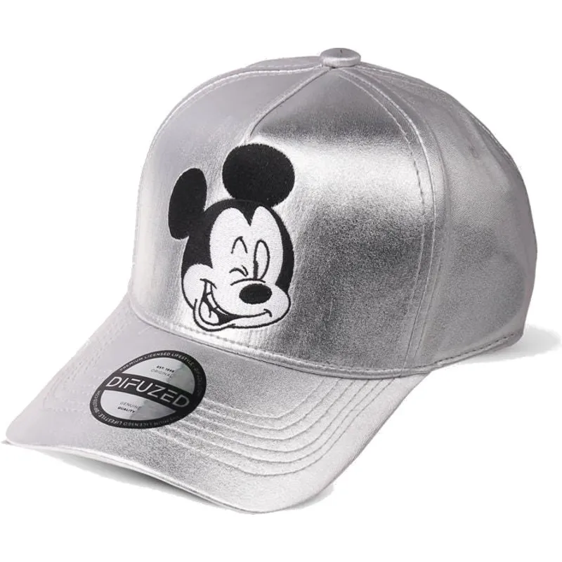 kapa-zaobljena-siva-snapback-plateada-difuzed