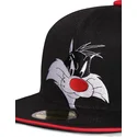 kapa-ravna-crna-snapback-space-jam-difuzed