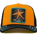 kape-zaobljena-narancasta-snapback-estrella-mar-baby-i-m-a-star-the-farm-the-farm-de-goorin-bros
