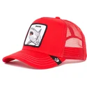 kapa-zaobljena-crvena-snapback-shark-dunnah-the-farm-goorin-bros