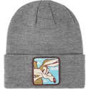 cap-gray-coyote-looney-tunes-capslab