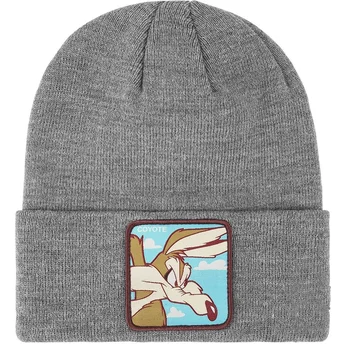 Kapa siva BON COY2 Kojot Looney Tunes Capslab