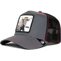 kapa-zaobljena-crna-snapback-reflective-the-farm-goorin-bros