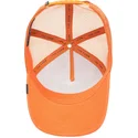 kapa-zaobljena-narancasta-snapback-the-lone-wolf-the-farm-goorin-bros