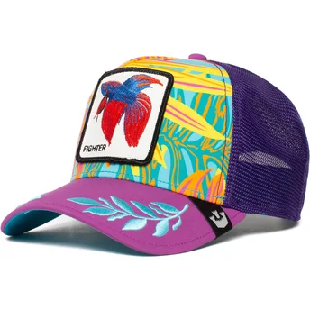 kapa-zaobljena-ljubicasta-snapback-siam-fighter-even-betta-the-farm-goorin-bros