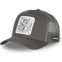 kapa-zaobljena-siva-snapback-tom-looney-tunes-capslab