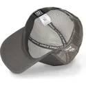 kapa-zaobljena-siva-snapback-tom-looney-tunes-capslab