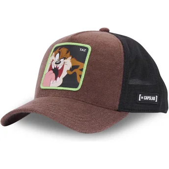 Kape zaobljena smeđa snapback Tasmanski vrag Looney Tunes Capslab
