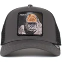 kapa-zaobljena-siva-snapback-ape-bay-bay-primal-global-core-the-farm-goorin-bros