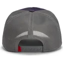 kapa-zaobljena-ljubicasta-snapback-goorin-bros-beat-dead-horse-horse-play-the-farm-purple-hat-the-farm-goorin-bros