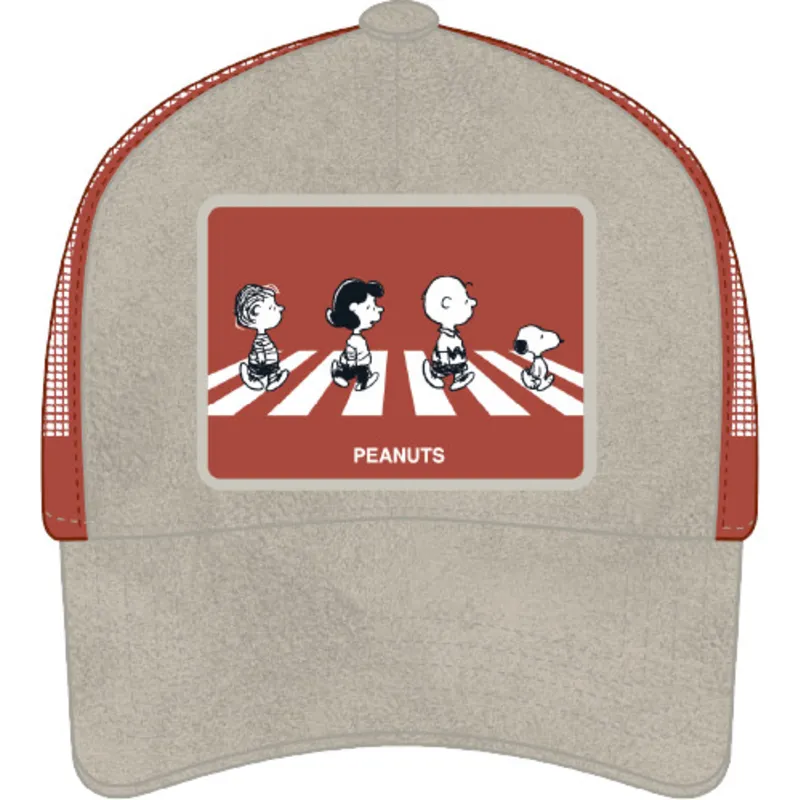 kapa-zaobljena-siva-snapback-pea5-pea-kikiriki-capslab