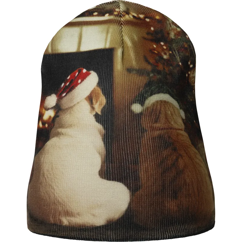kape-visebojno-holiday-rev-buddy-black-kangol