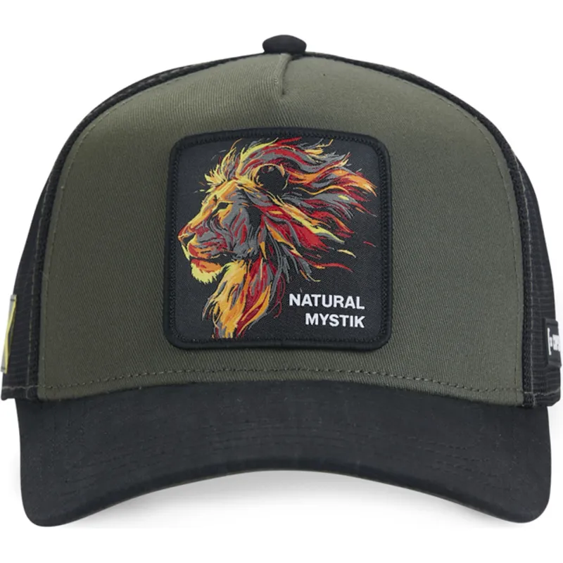 cap-zaobljena-black-snapback-lion-beasts-capslab