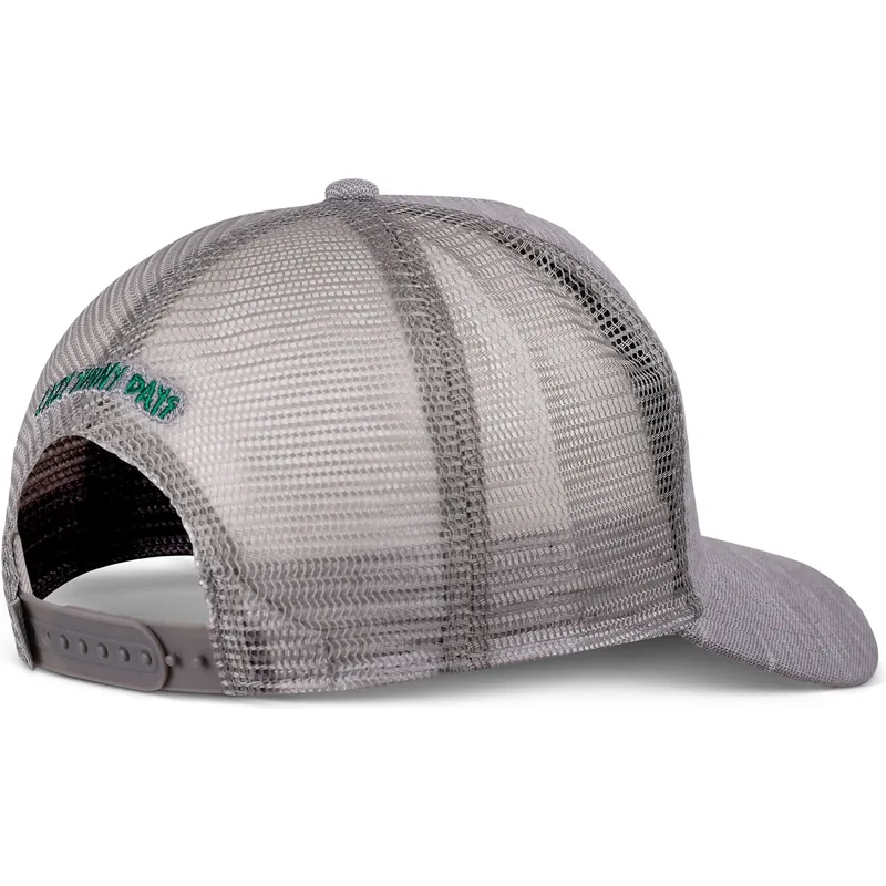 cap-zaobljena-gray-snapback-djinns