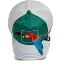 kapa-zaobljena-zelena-snapback-guapo-honduras-macaw-the-farm-goorin-bros
