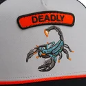 cap-zaobljena-gray-snapback-the-farm-de-goorin-bros