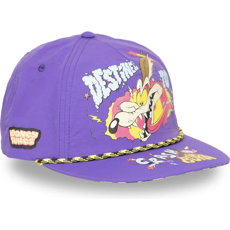 cap-ravna-violet-snapback-coyote-looney-tunes-capslab cap-ravna-violet-snapback-coyote-looney-tunes-capslab
