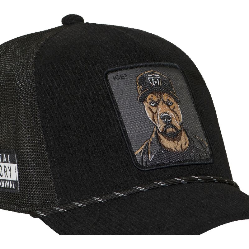 cap-zaobljena-black-snapback-hip-hop-dogz-capslab cap-zaobljena-black-snapback-hip-hop-dogz-capslab