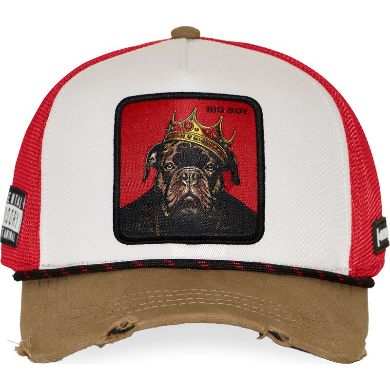 cap-zaobljena-multicolor-snapback-hip-hop-dogz-capslab