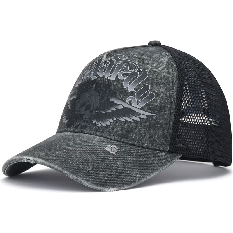 kapa-zaobljena-siva-snapback-flaming-gothic-skull-washed-ed-hardy kapa-zaobljena-siva-snapback-flaming-gothic-skull-washed-ed-hardy