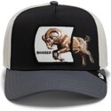 kapa-zaobljena-visebojno-snapback-banger-migration-the-farm-goorin-bros