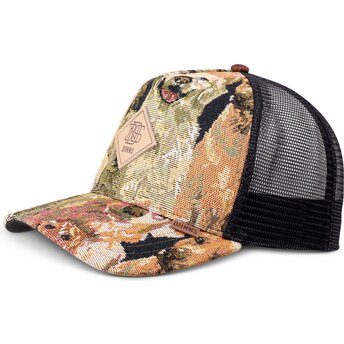 Kapa zaobljena višebojno snapback HFT Crasy Sofa Dogs Djinns